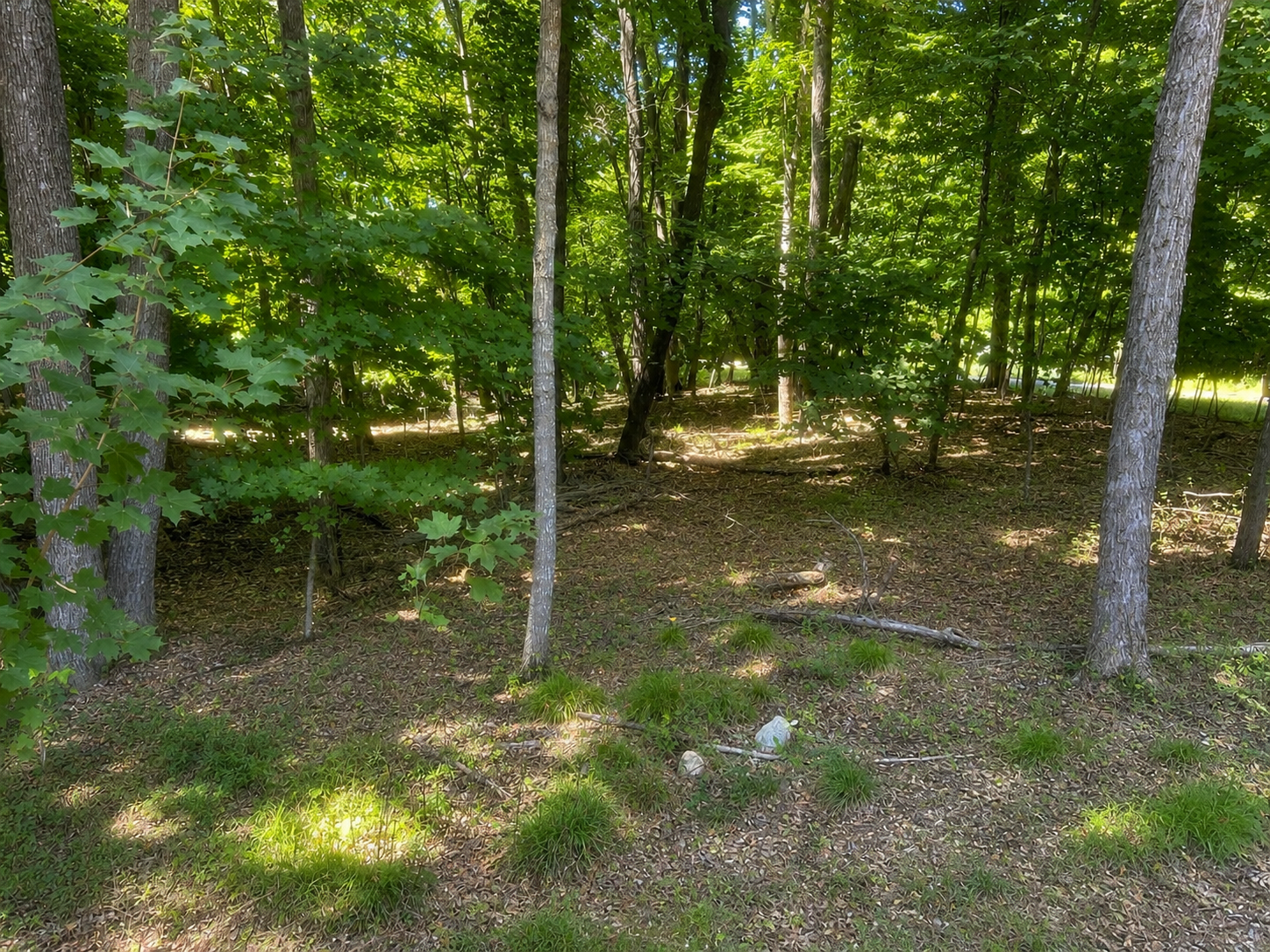 2nd image of 48722 428th St, Perham, MN 56573 | MLS# 7122706