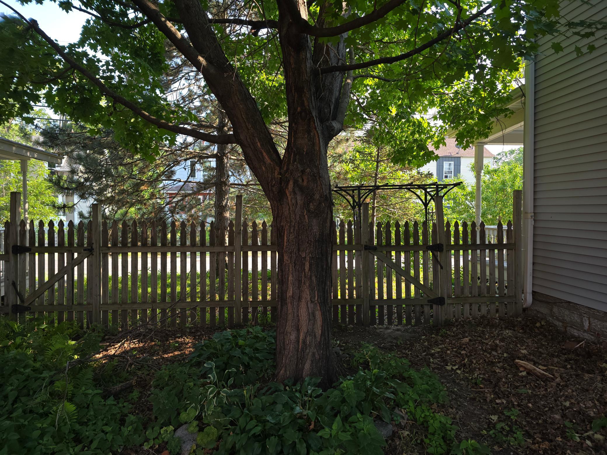 4th image of 806 E 36Th St, Minneapolis, MN 55407 | MLS# 7122711