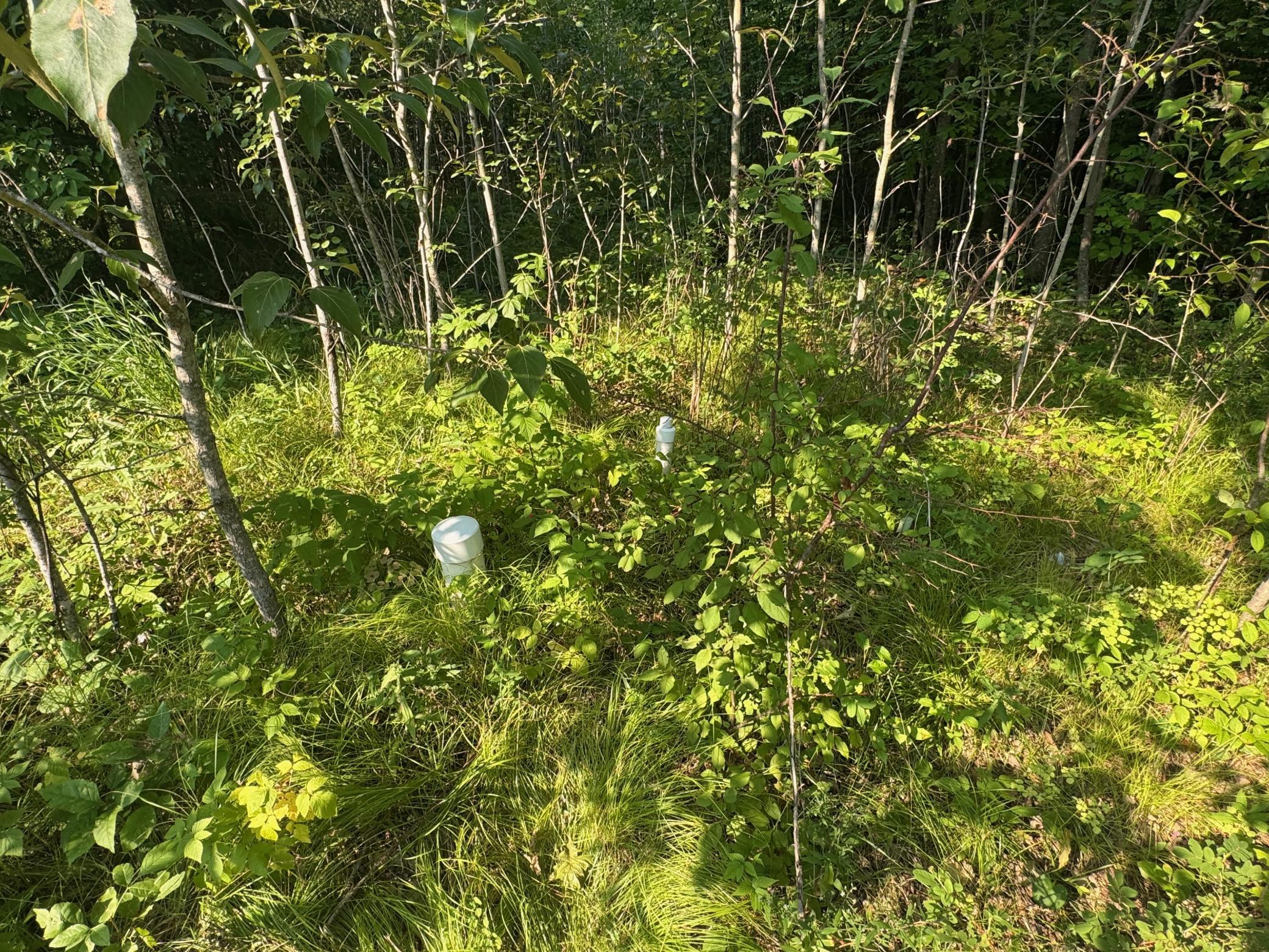2nd image of 30298 Misty Ln Ne, Pennington, MN 56663 | MLS# 7122717