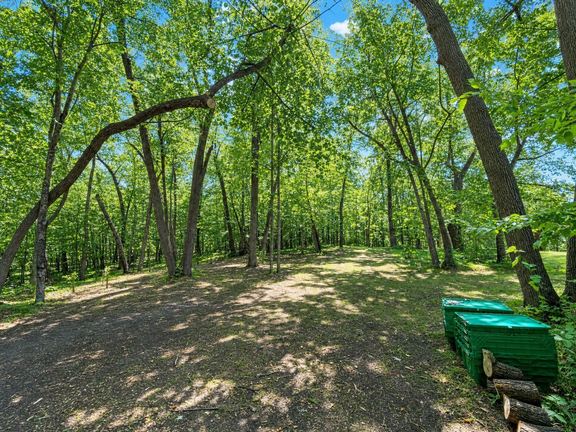 32nd image of 23794 State 87, Nevis, MN 56467 | MLS# 7122895