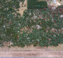 2nd image of Lot 2 Kable Ave, North Branch, MN 55056 | MLS# 7122999