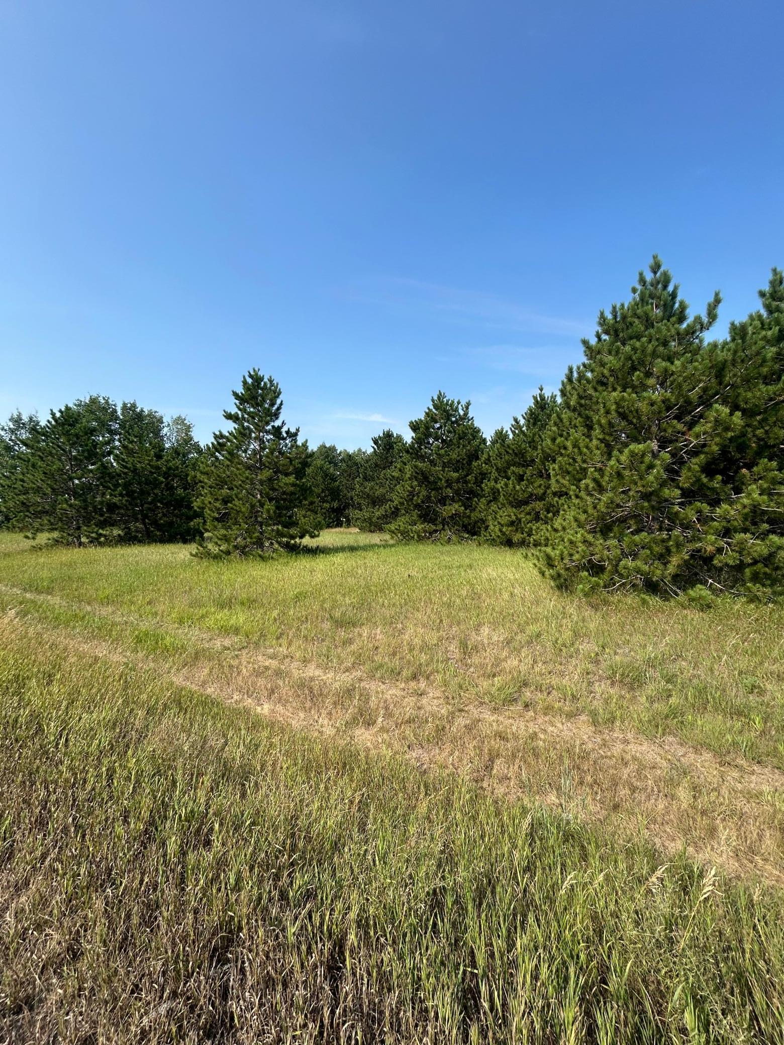34th image of 417 Henrietta Ave N, Park Rapids, MN 56470 | MLS# 7123054