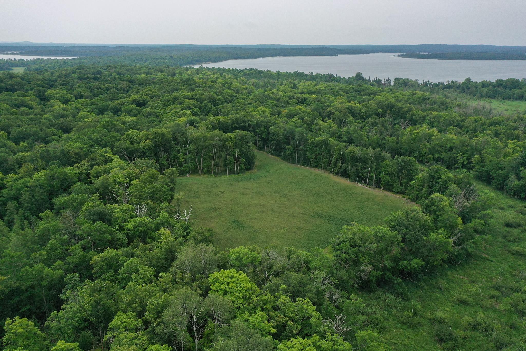 2nd image of Tbd N Cotton Lake Rd, Rochert, MN 56578 | MLS# 7123384