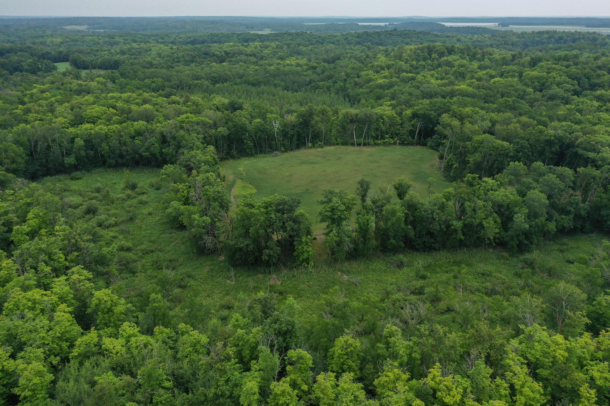 1st image of Tbd N Cotton Lake Rd, Rochert, MN 56578 | MLS# 7123384