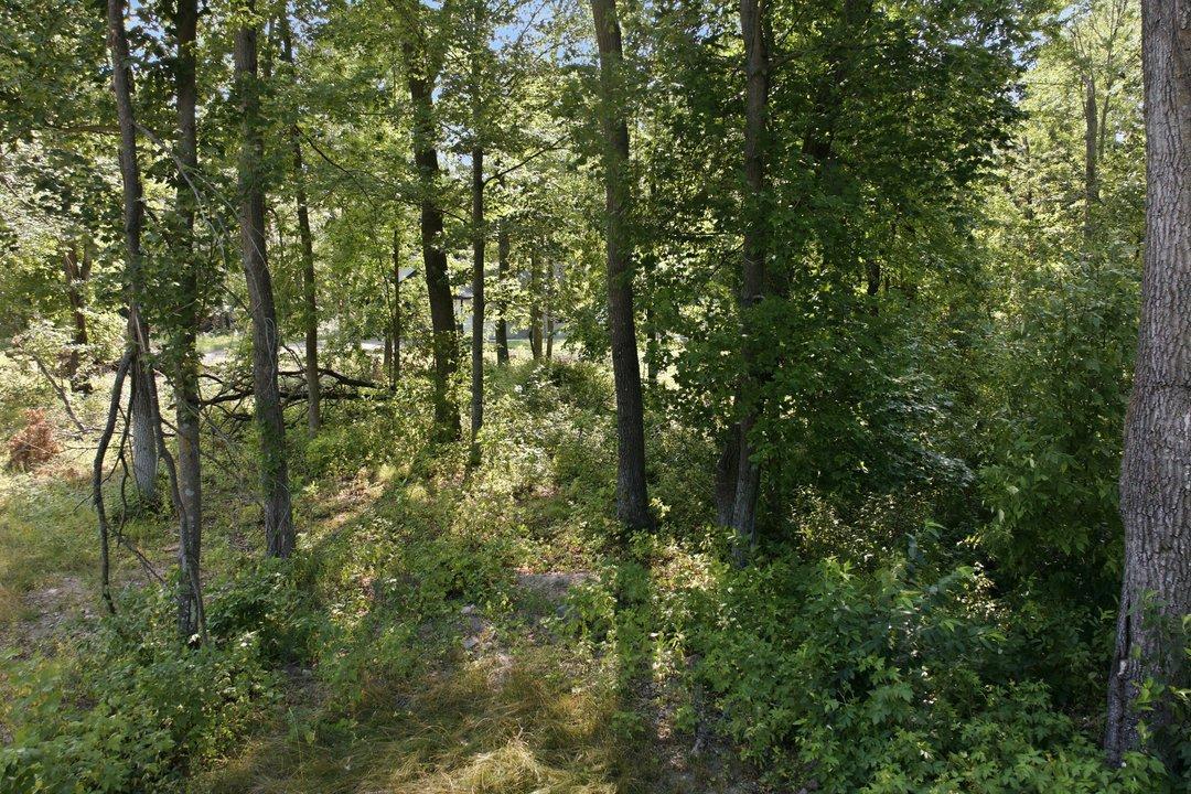 5th image of Tbd Maplewood Ridge Rd, Brainerd, MN 56401 | MLS# 7123423
