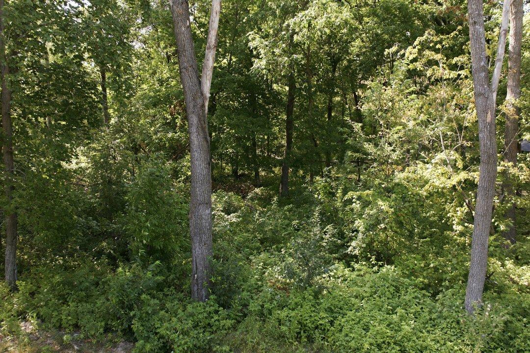 3rd image of Tbd Maplewood Ridge Rd, Brainerd, MN 56401 | MLS# 7123423