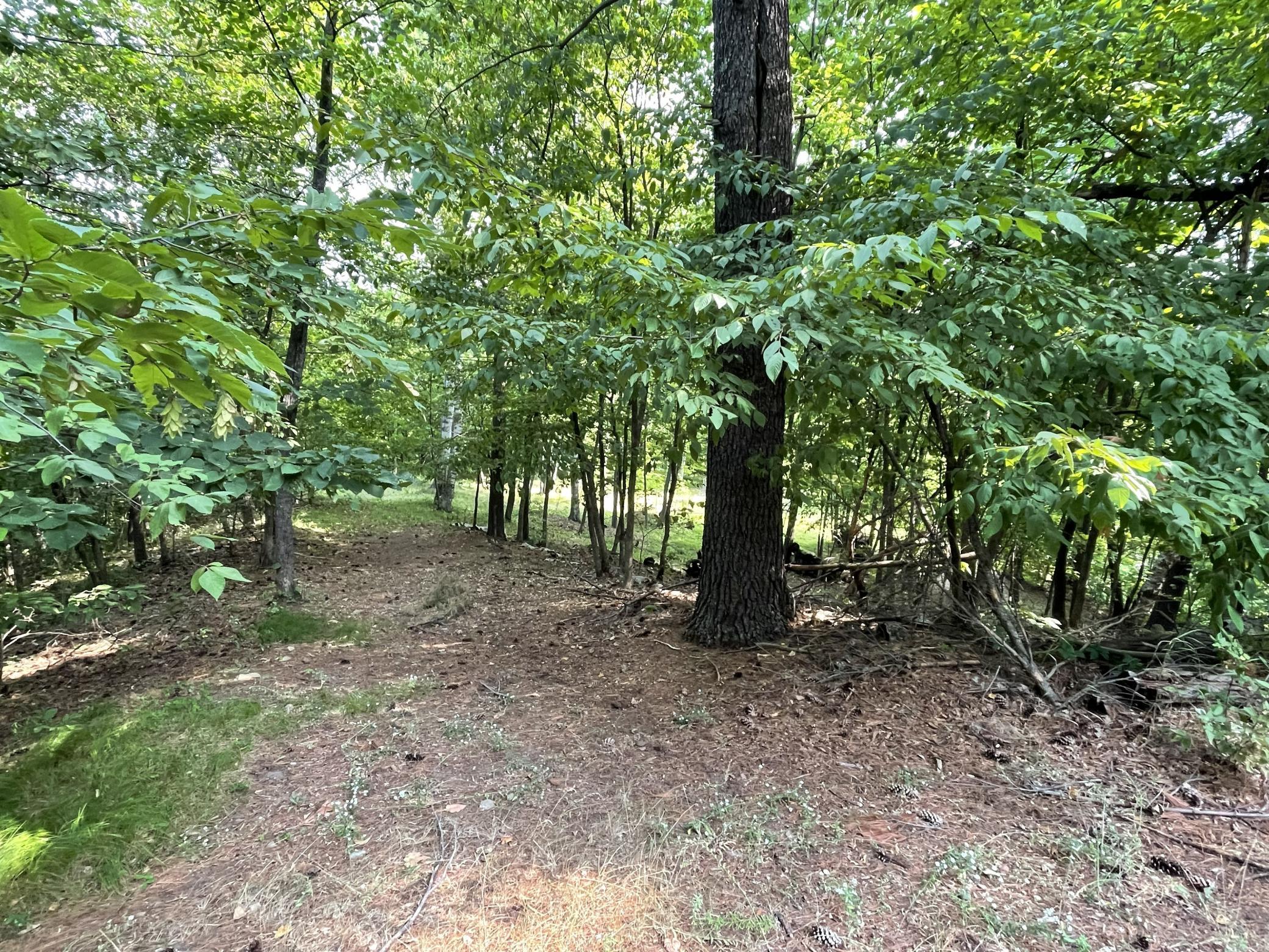 5th image of 16574 Riverside Dr, Brainerd, MN 56401 | MLS# 7123539
