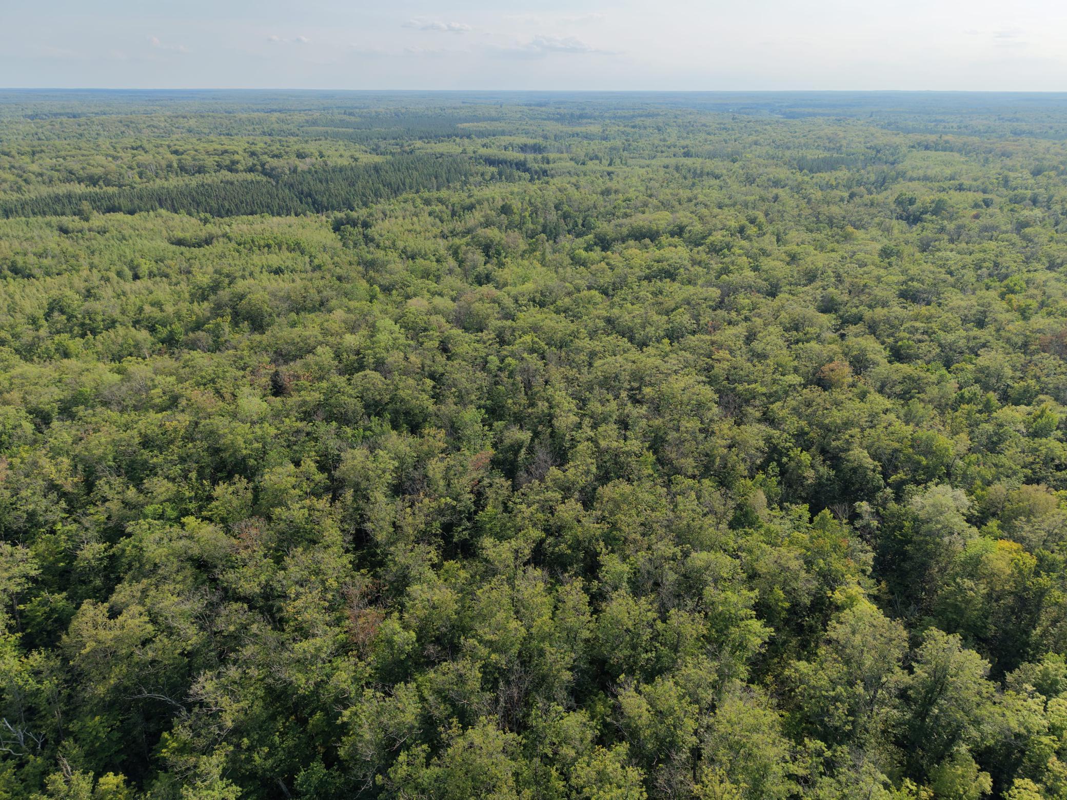 5th image of Tbd State Hwy 27, Sturgeon Lake, MN 55783 | MLS# 7123704