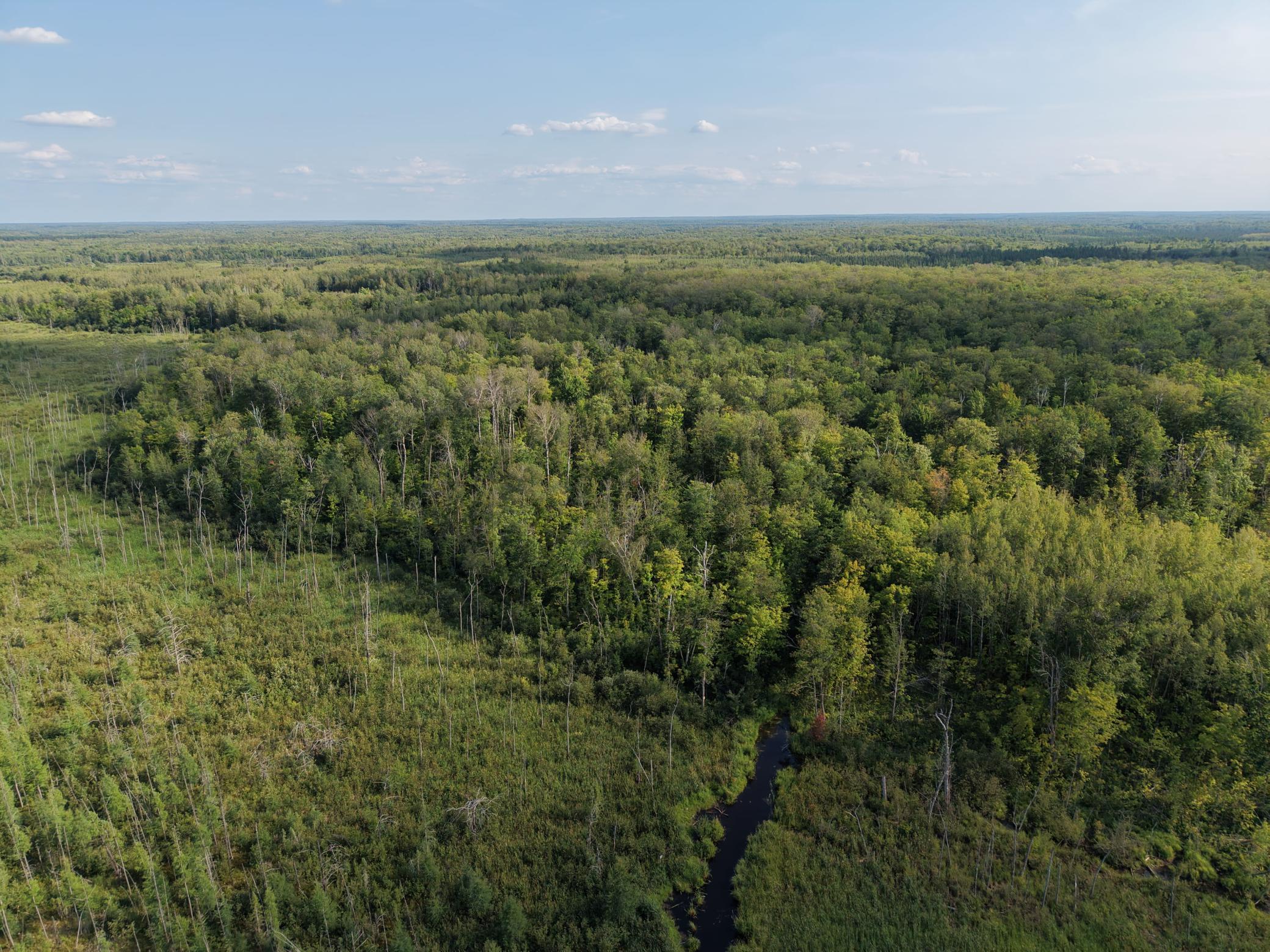 1st image of Tbd State Hwy 27, Sturgeon Lake, MN 55783 | MLS# 7123704