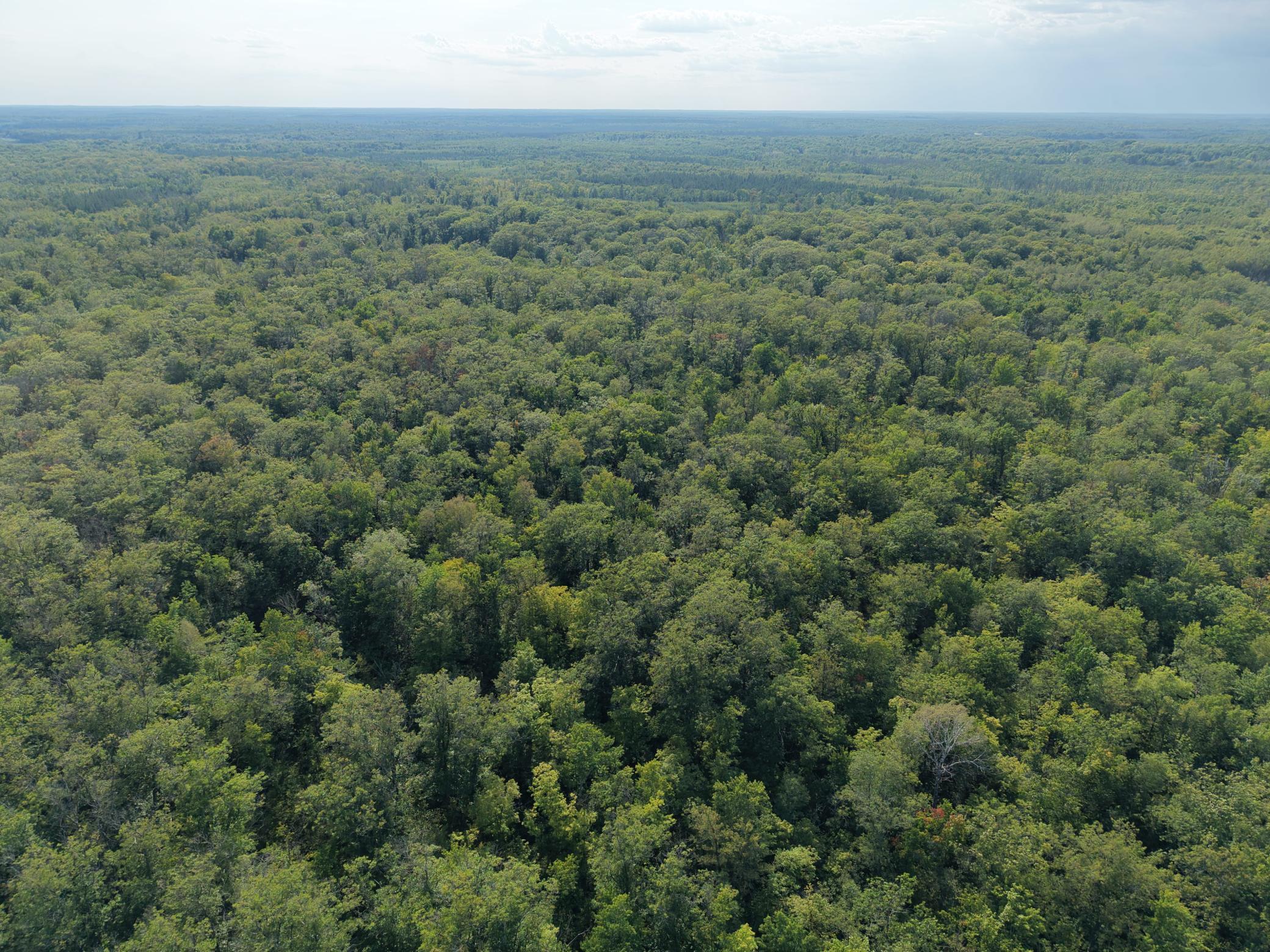 3rd image of Tbd State Hwy 27, Sturgeon Lake, MN 55783 | MLS# 7123704