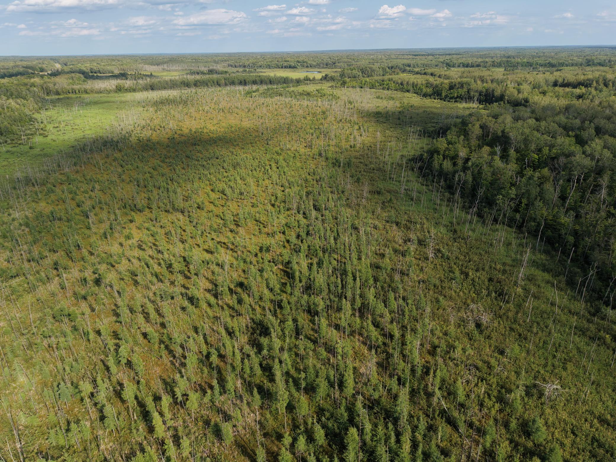 32nd image of Tbd State Hwy 27, Sturgeon Lake, MN 55783 | MLS# 7123704
