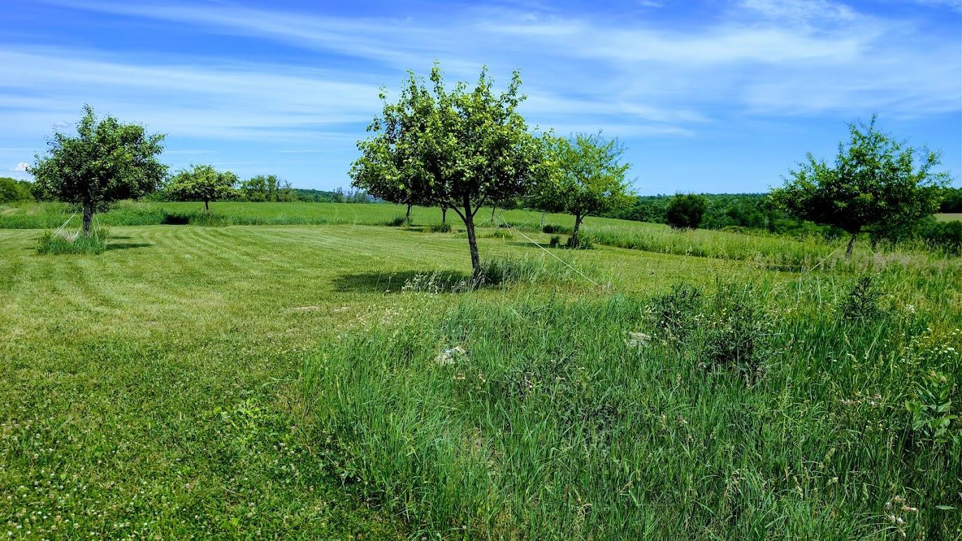 60th image of 407 23rd St, Chetek, WI 54728 | MLS# 7123728