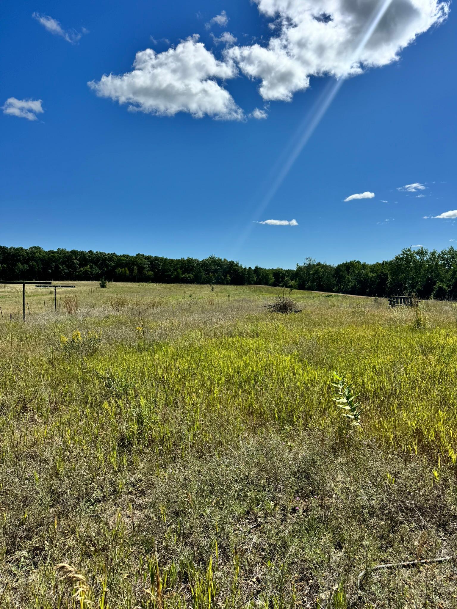 3rd image of 22315 Daisy Rd, Nevis, MN 56467 | MLS# 7123870