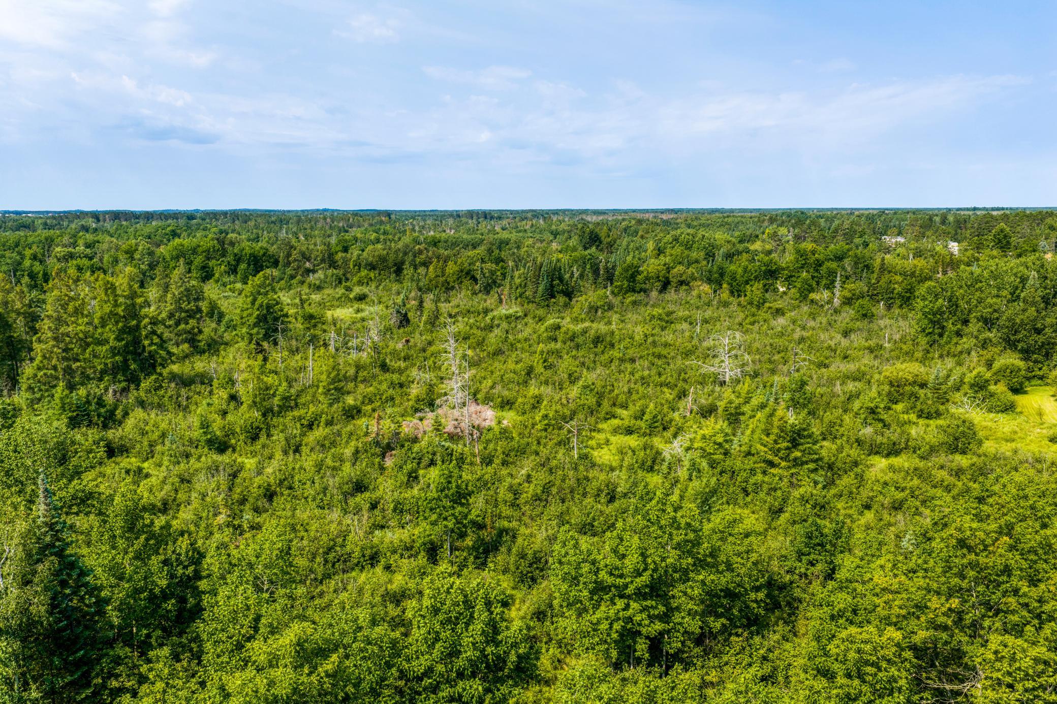 3rd image of Tbd Irvine Ave, Bemidji, MN 56601 | MLS# 7123936
