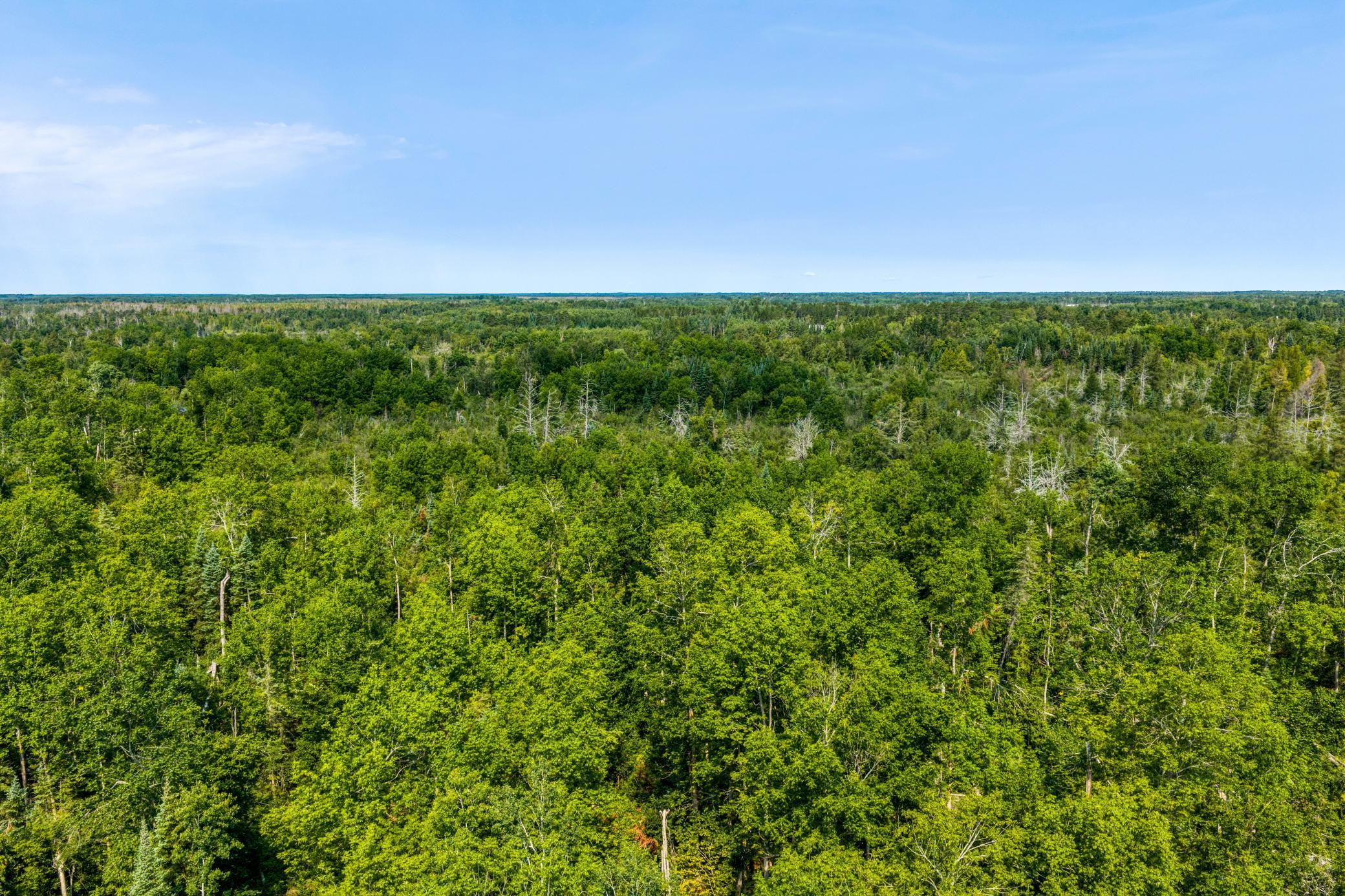 4th image of Tbd Irvine Ave, Bemidji, MN 56601 | MLS# 7123936