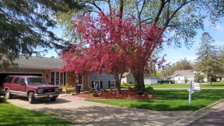 1st image of 8515 85th St S, Cottage Grove, MN 55016 | MLS# 7123955