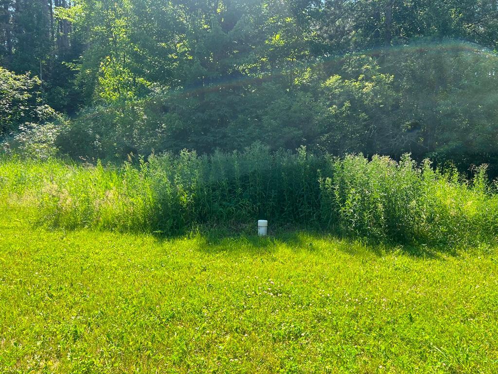 5th image of 53131 Little Spring Rd, Spring Lake, MN 56680 | MLS# 7124082