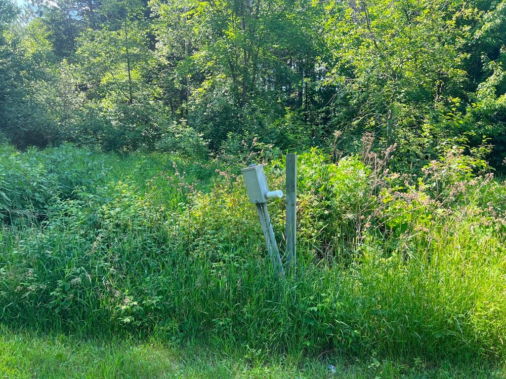 4th image of 53131 Little Spring Rd, Spring Lake, MN 56680 | MLS# 7124082