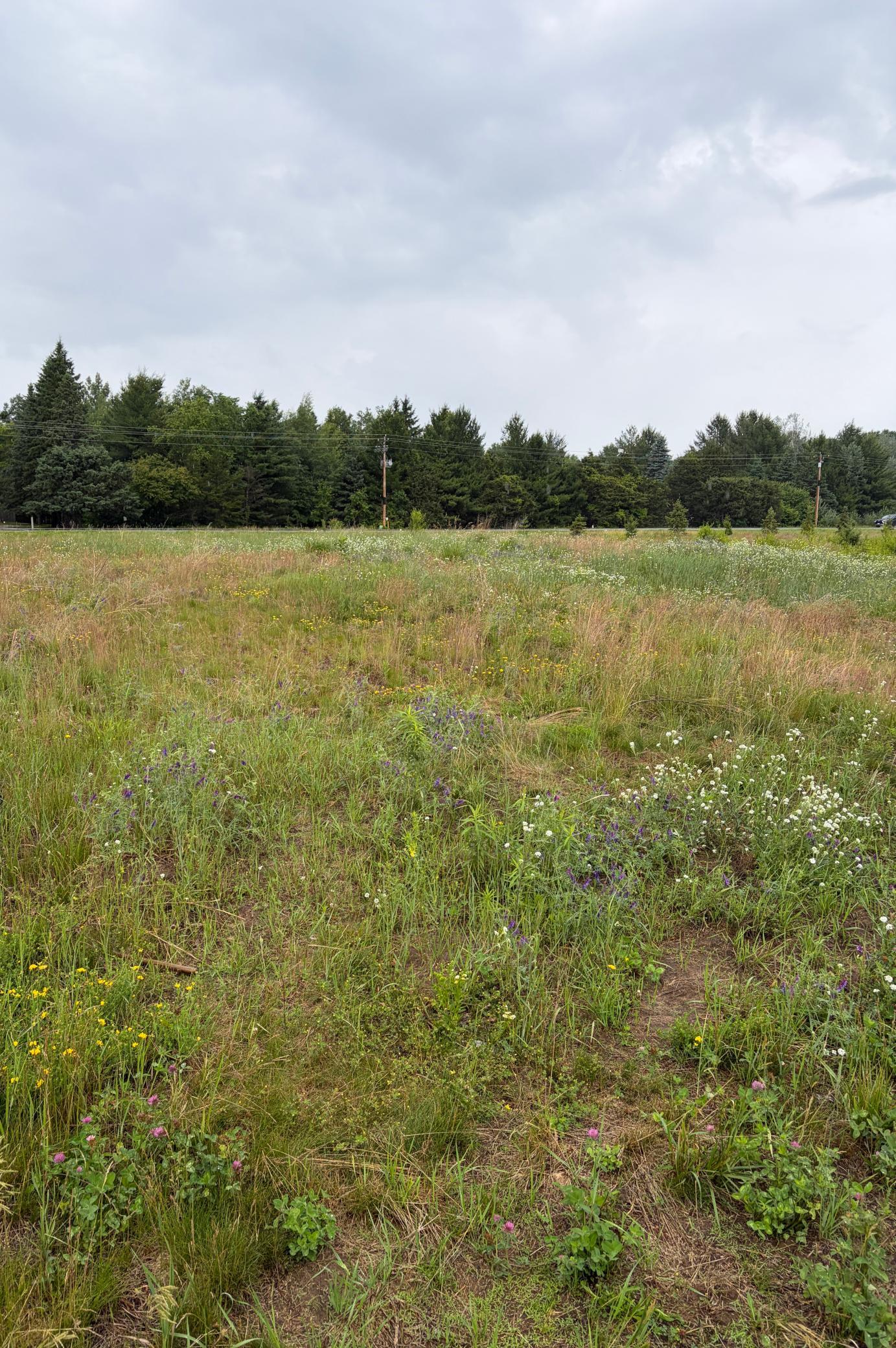 1st image of 825 174th Ave Ne, Andover, MN 55304 | MLS# 7124092