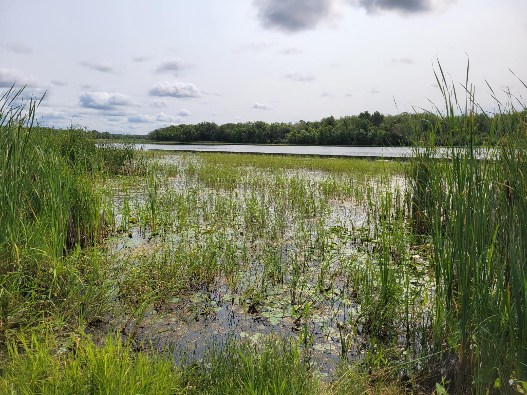 1st image of Tbd Woodbury Dr, Wright, MN 55798 | MLS# 7124304