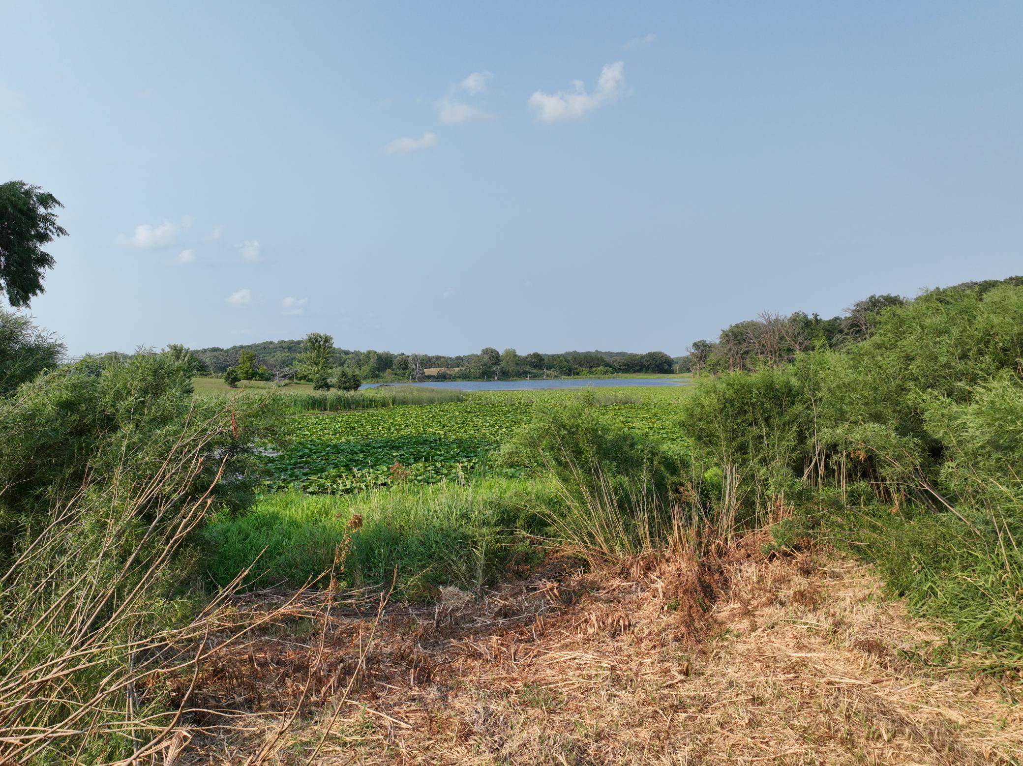 10th image of Xxx 400th Ave, Evansville, MN 56326 | MLS# 7124332