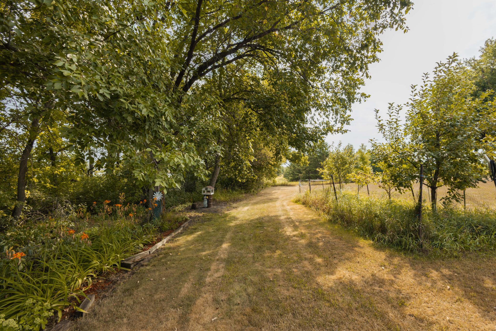 55th image of 29741 County Hwy 22, Underwood, MN 56586 | MLS# 7124533
