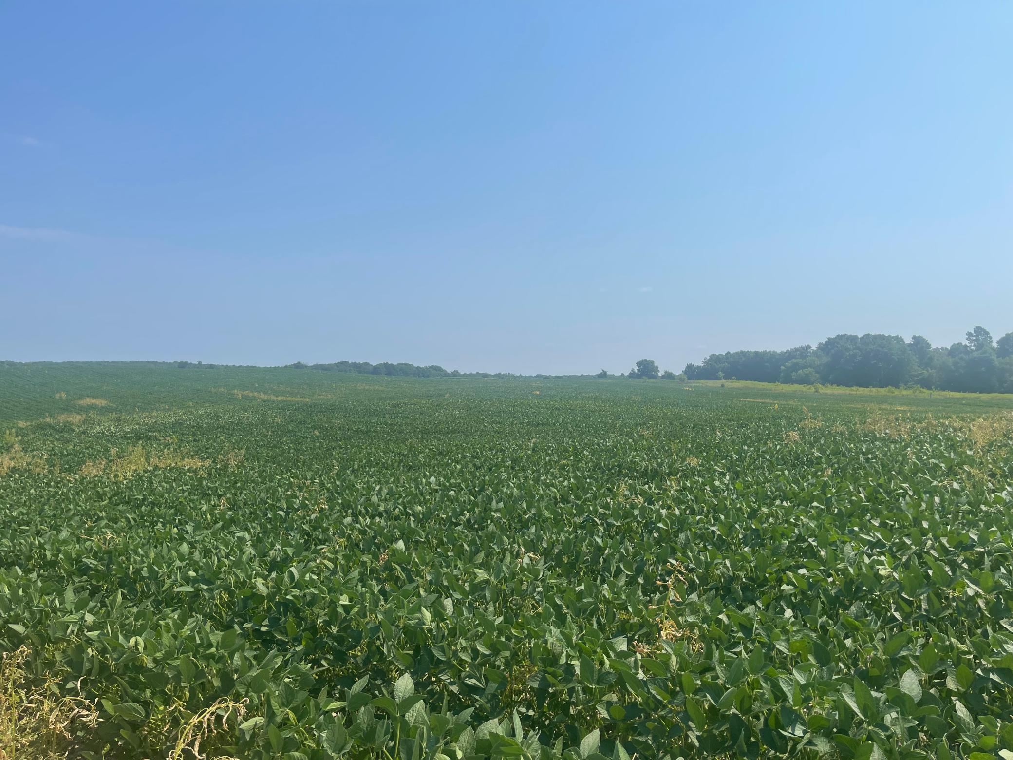 11th image of Xxx 190th Street, Centuria, WI 54824 | MLS# 7124606