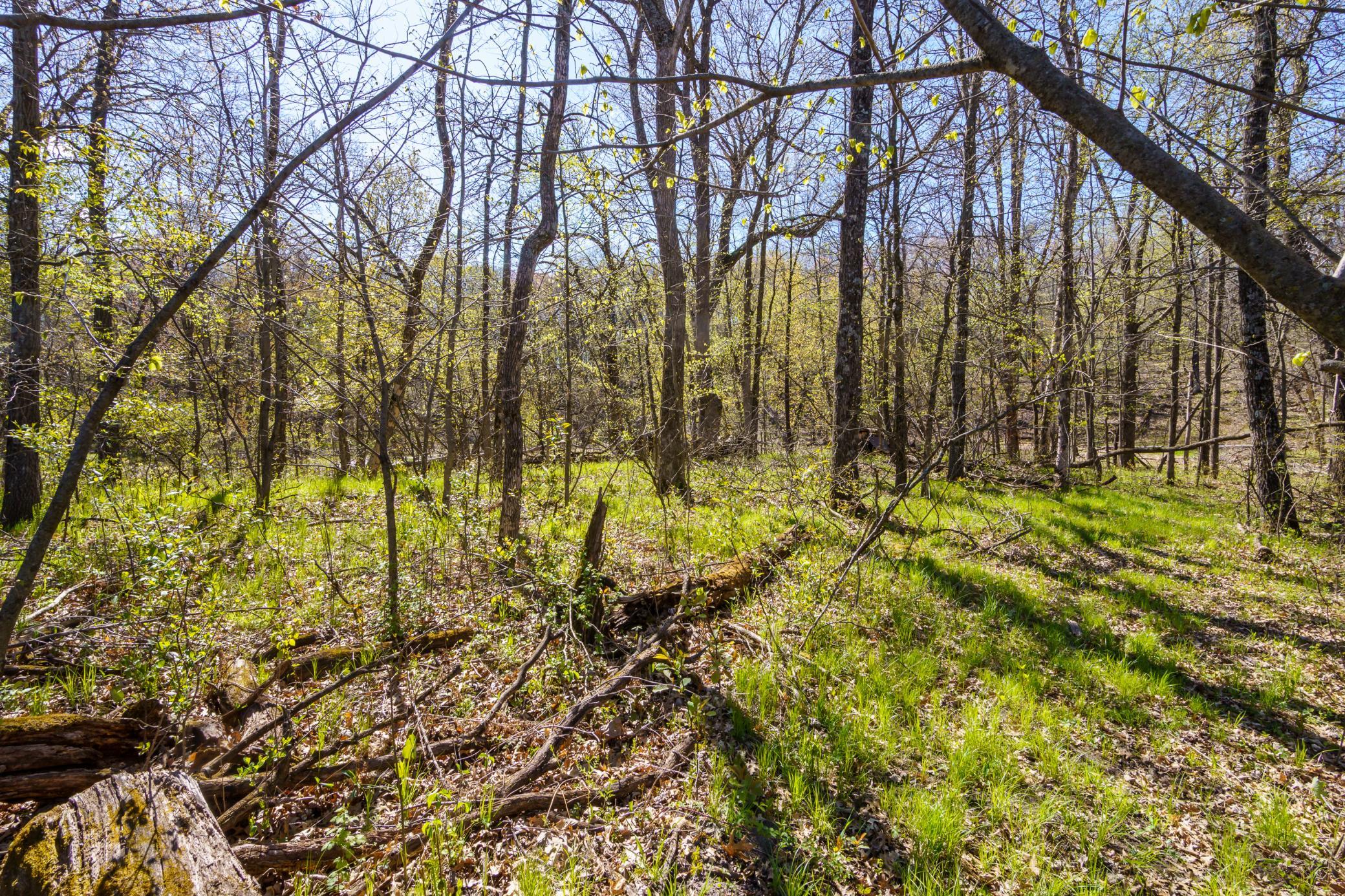4th image of Block A Xxx, Oak Grove, MN 55070 | MLS# 7124614