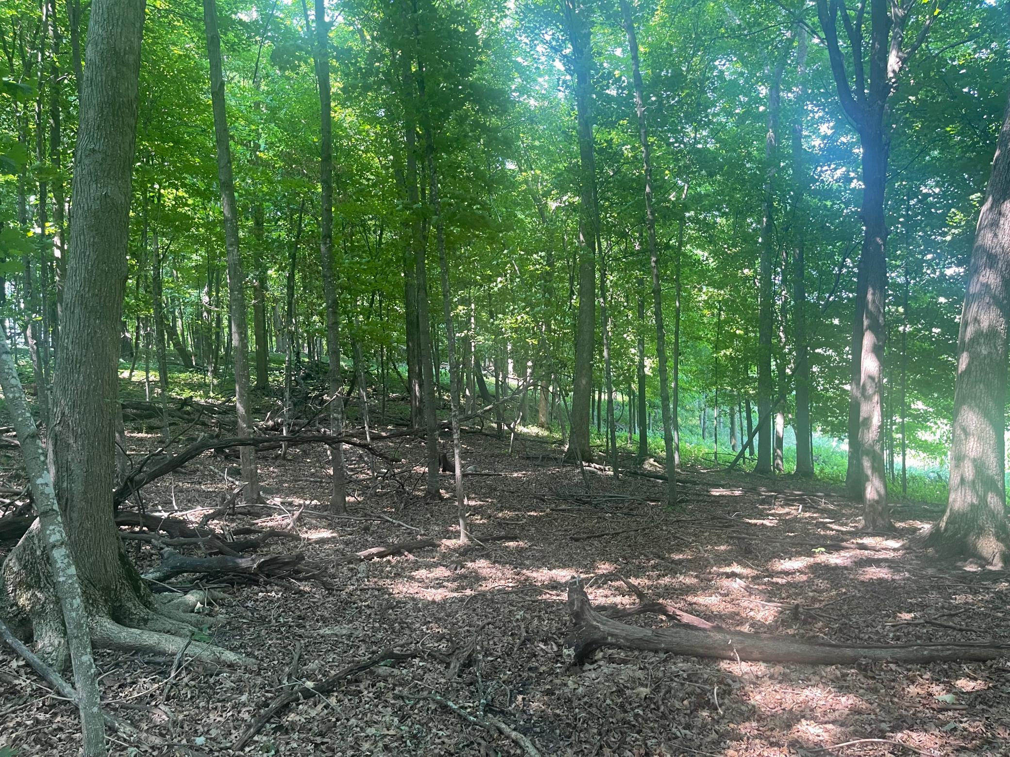 4th image of Tbd 190Th Street, Centuria, WI 54824 | MLS# 7124668