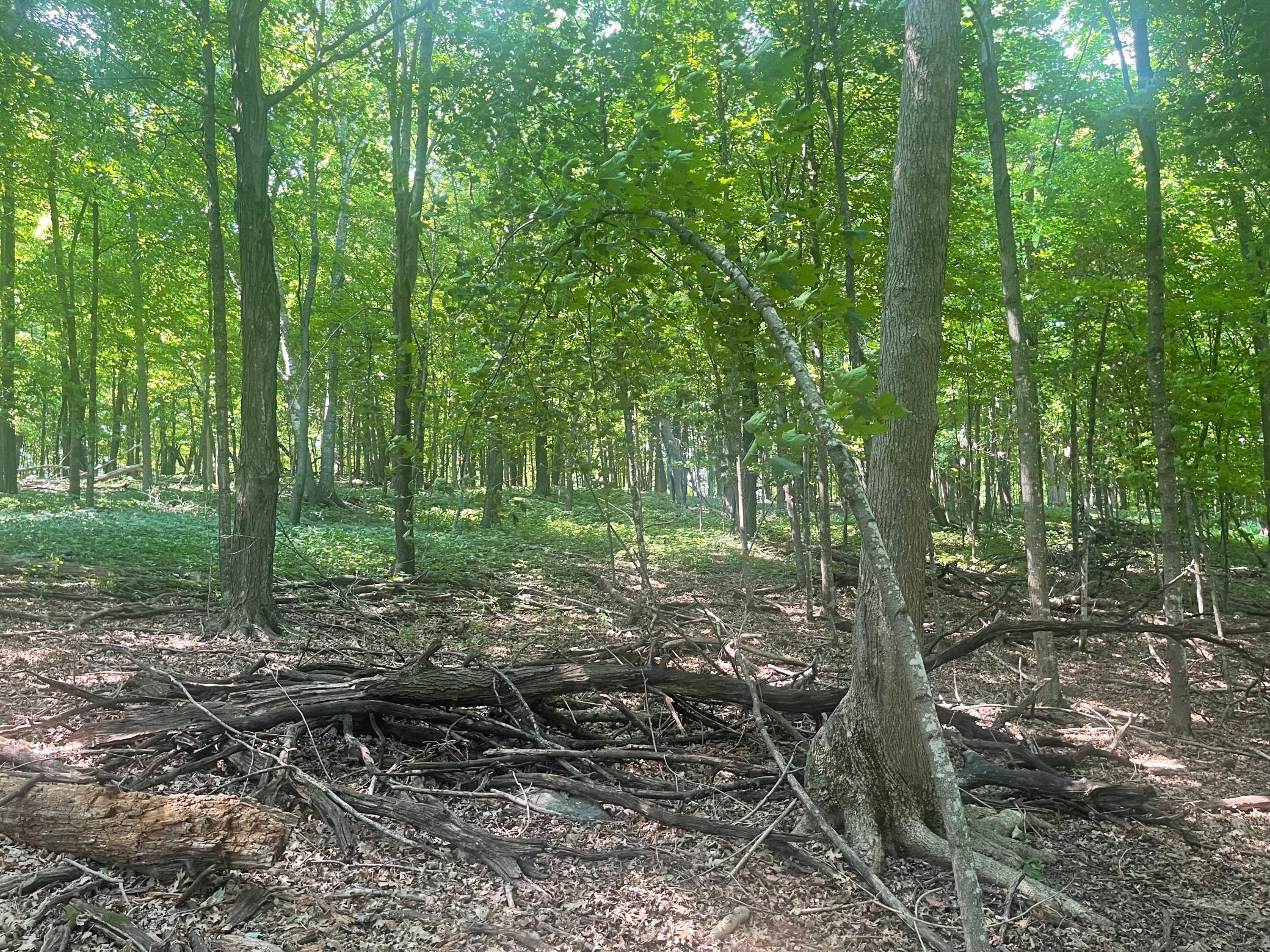 3rd image of Tbd 190Th Street, Centuria, WI 54824 | MLS# 7124668
