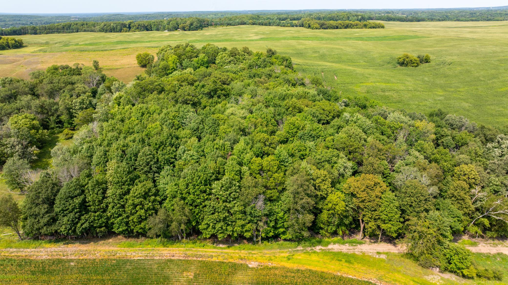 5th image of Tbd 190Th Street, Centuria, WI 54824 | MLS# 7124668