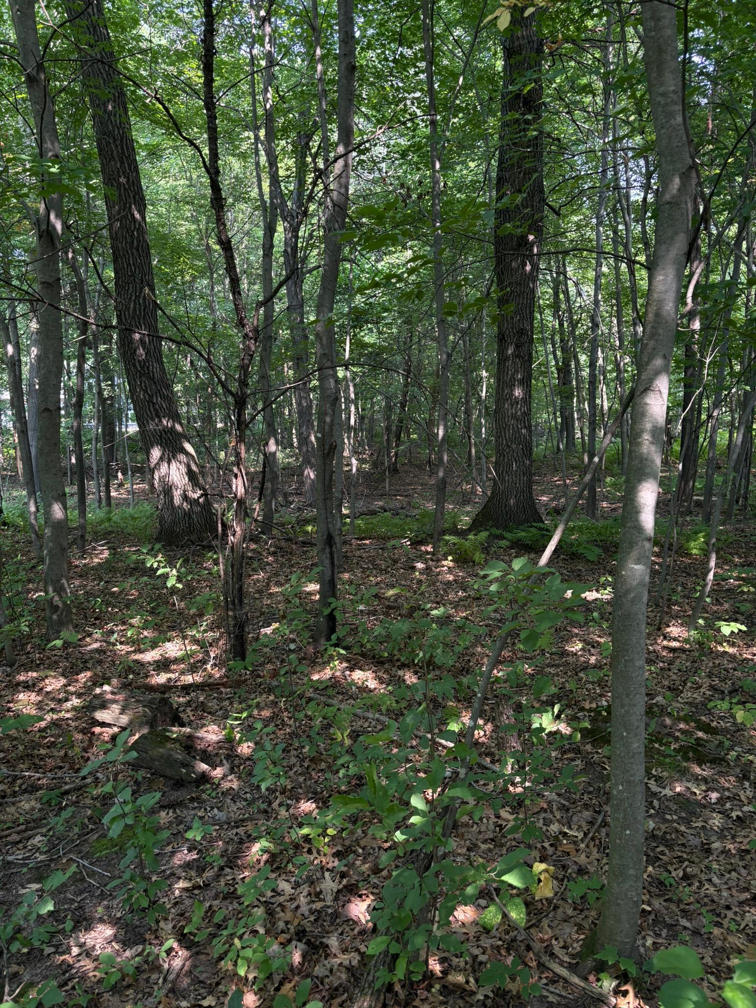 1st image of Tbd 366th St, North Branch, MN 55056 | MLS# 7124753
