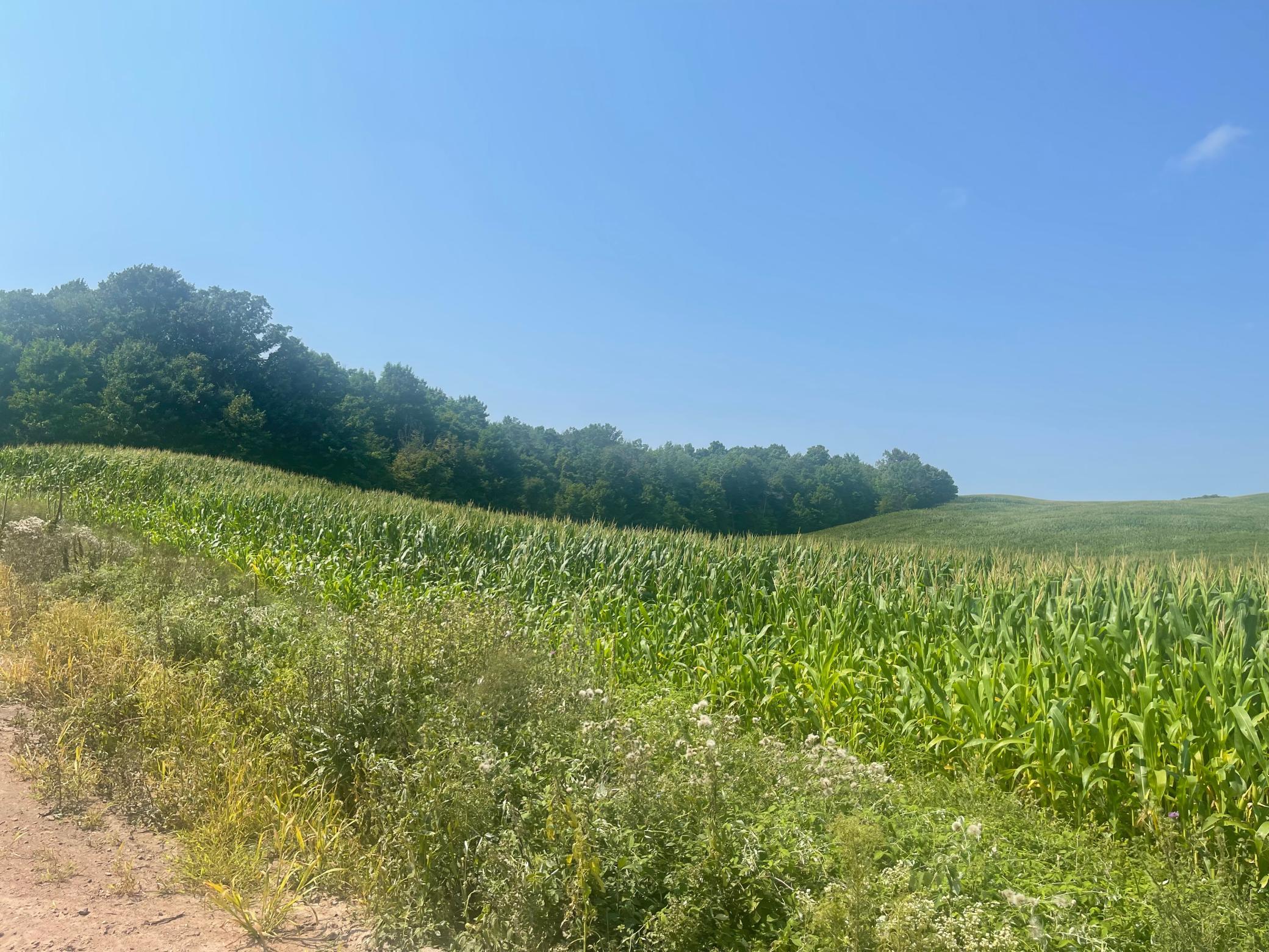 3rd image of Xx 190Th Street, Centuria, WI 54024 | MLS# 7124868
