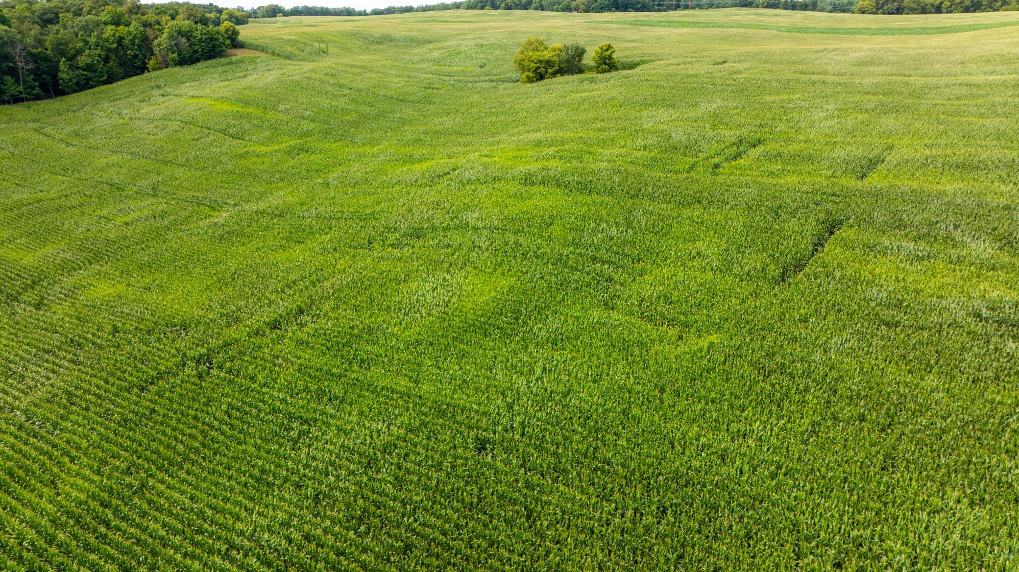 5th image of Xx 190Th Street, Centuria, WI 54024 | MLS# 7124868