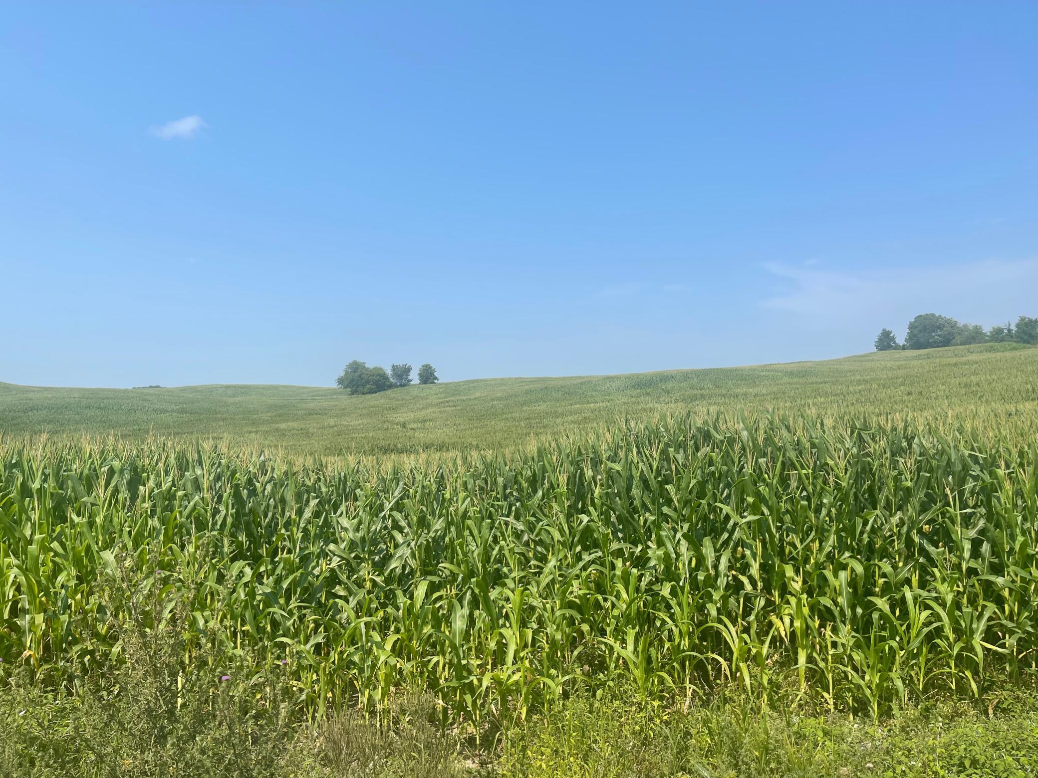 2nd image of Xx 190th Street, Centuria, WI 54024 | MLS# 7124868