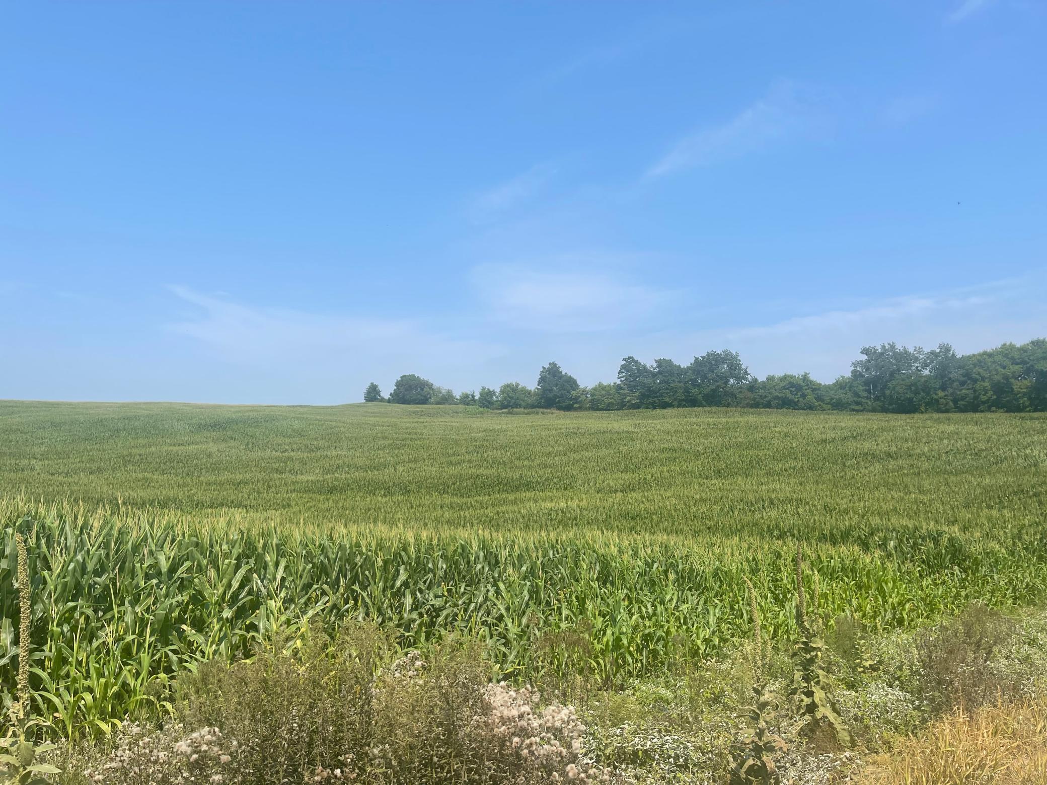 11th image of Xx 190th Street, Centuria, WI 54024 | MLS# 7124868