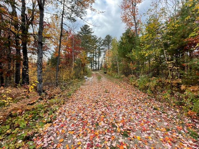5th image of 9014 Ban Lake Spur N, Orr, MN 55771 | MLS# 7124907