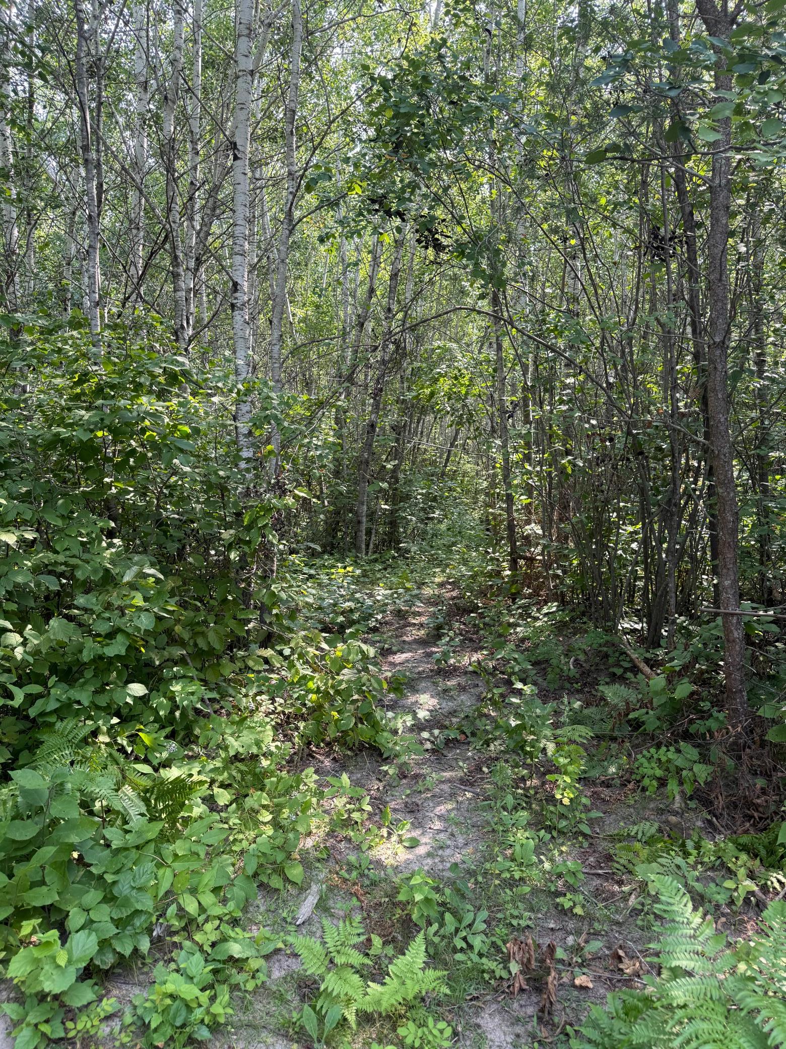 28th image of 47414 323rd Ave, Cass Lake, MN 56633 | MLS# 7125032