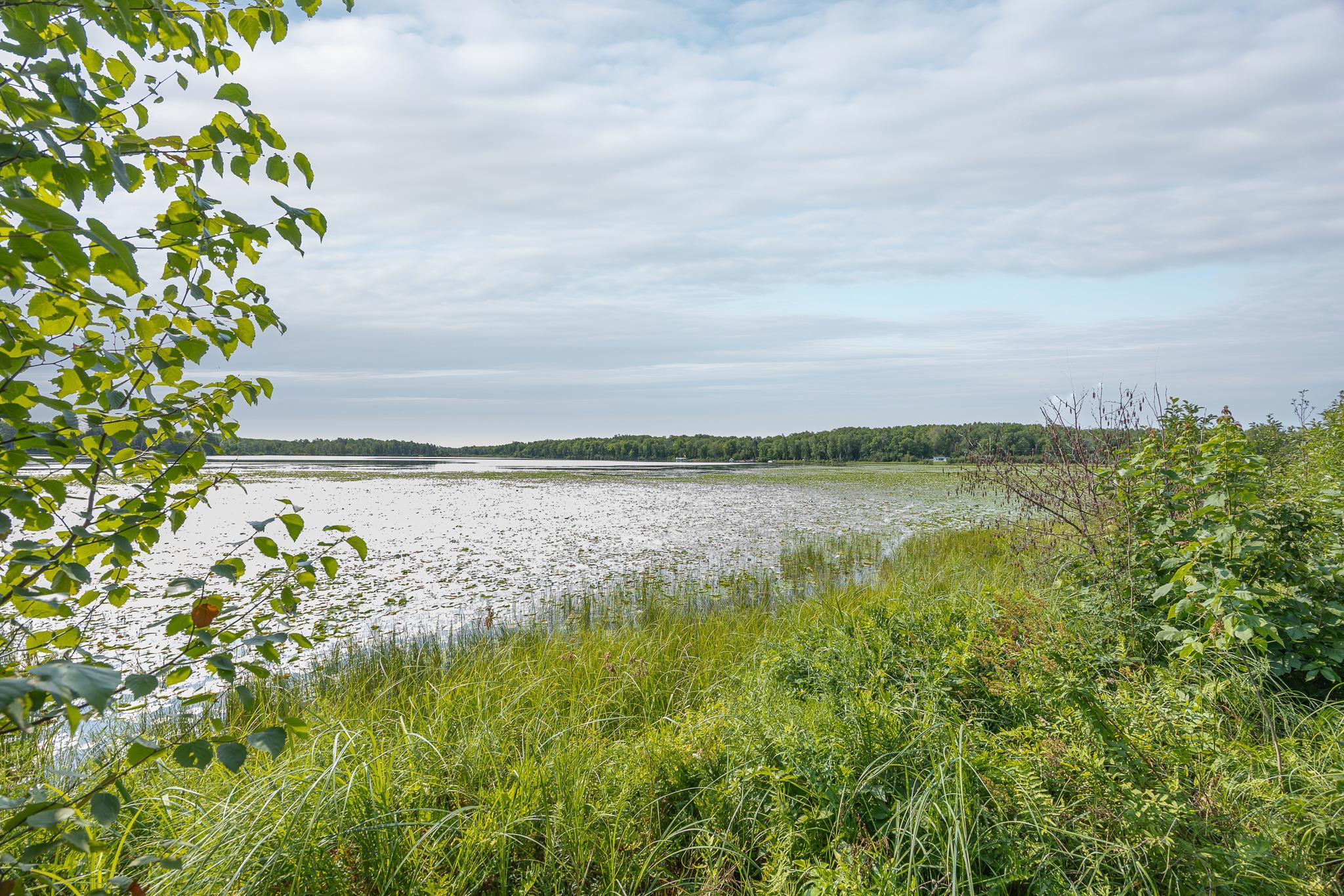 2nd image of 1089 8th St Ne, Pine River, MN 56474 | MLS# 7125259