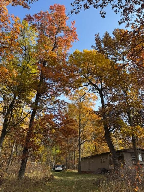 17th image of (Undisclosed), Merrifield, MN 56465 | MLS# 7125282
