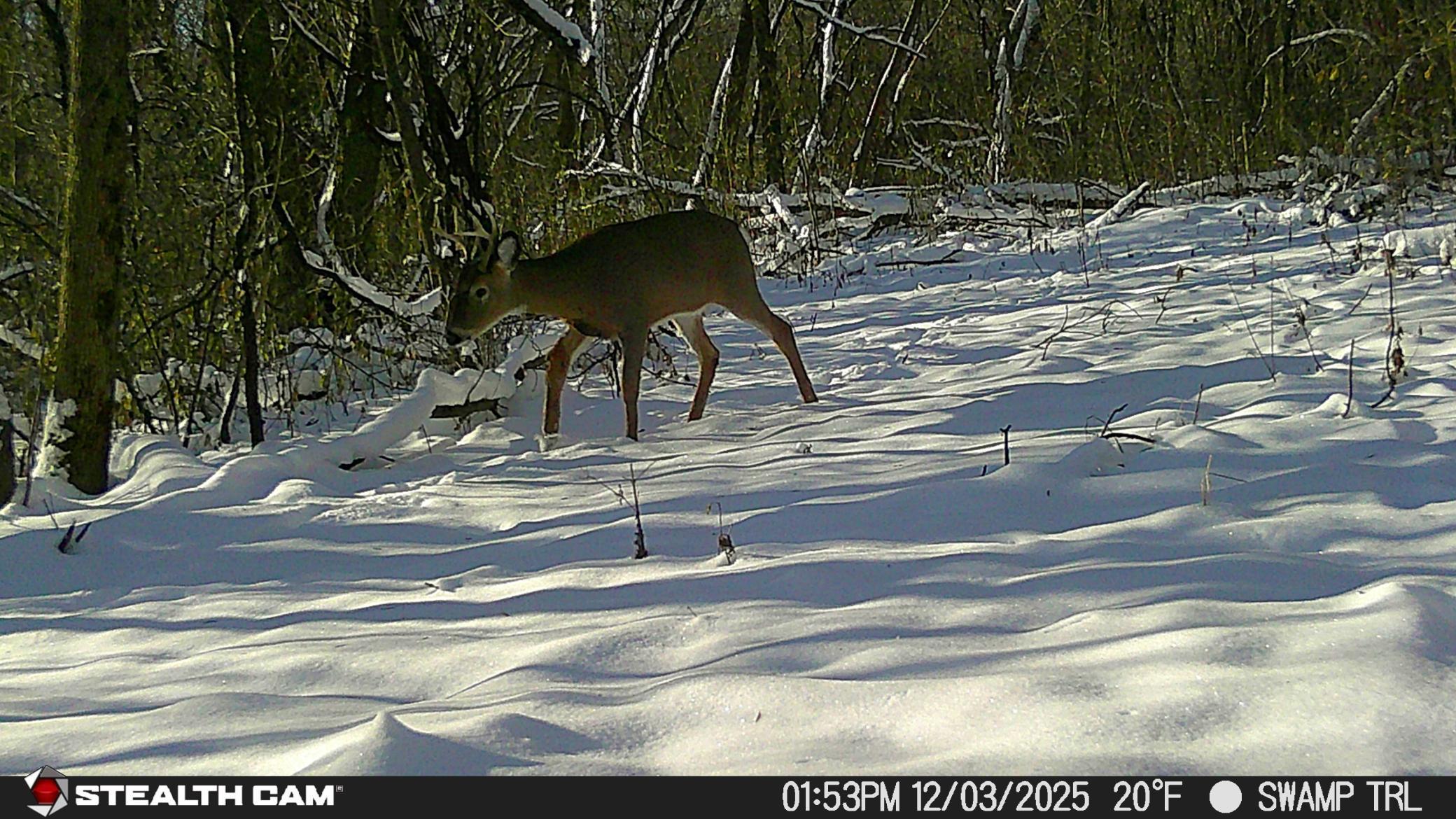 20th image of Tbd Hidden Lane, Greenfield, MN 55357 | MLS# 7125304