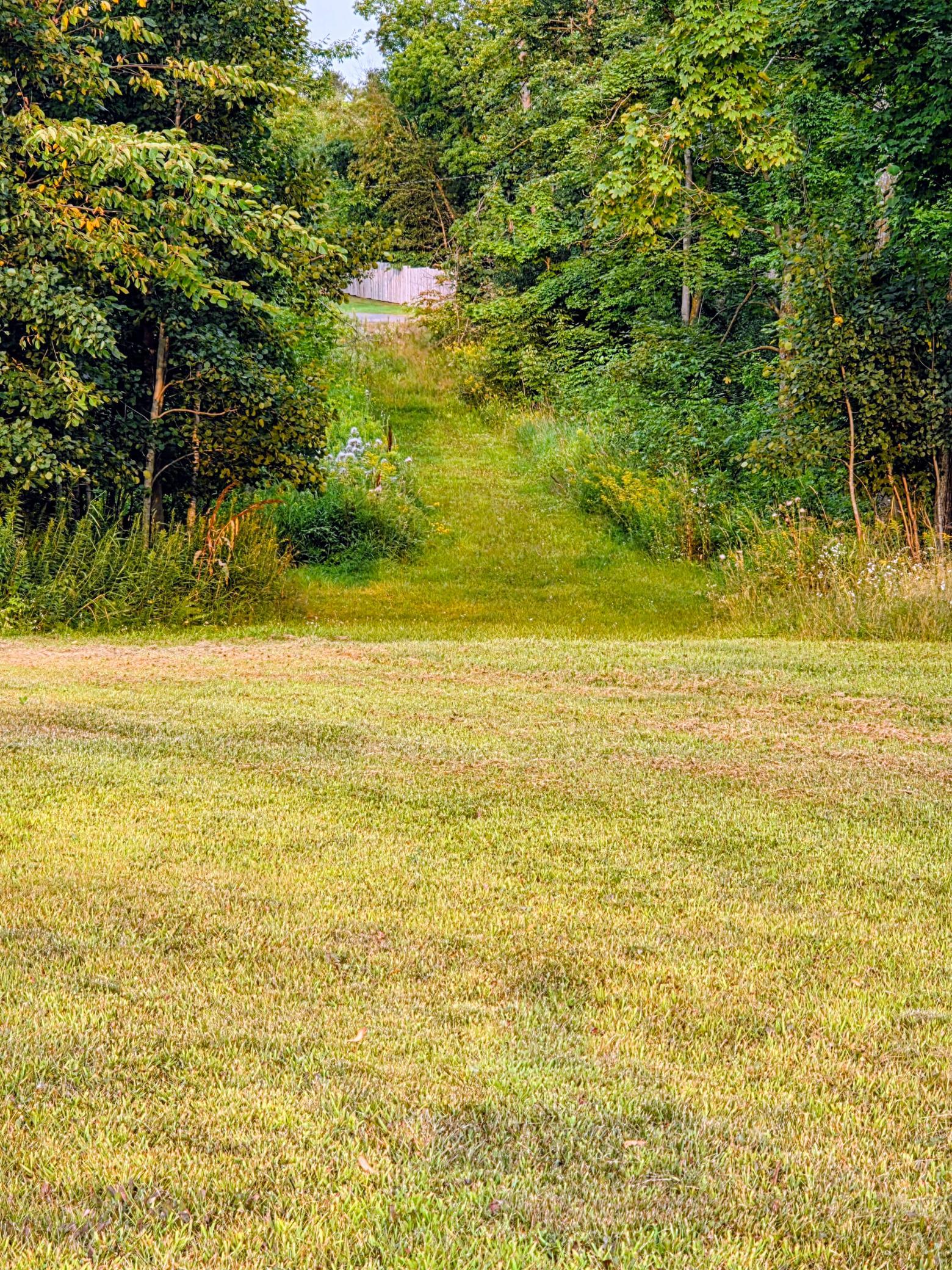 54th image of N1335 Pine Grove Rd, Sarona, WI 54870 | MLS# 7125407