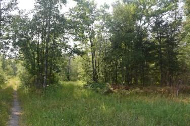 1st image of 15690 330th St, Mc Gregor, MN 55760 | MLS# 7125489