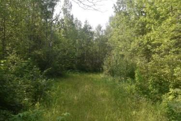 5th image of 15690 330Th St, Mc Gregor, MN 55760 | MLS# 7125489