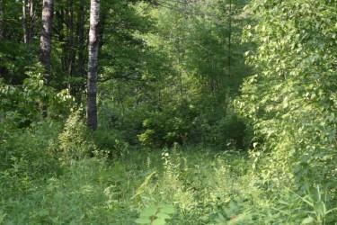 3rd image of 15690 330Th St, Mc Gregor, MN 55760 | MLS# 7125489