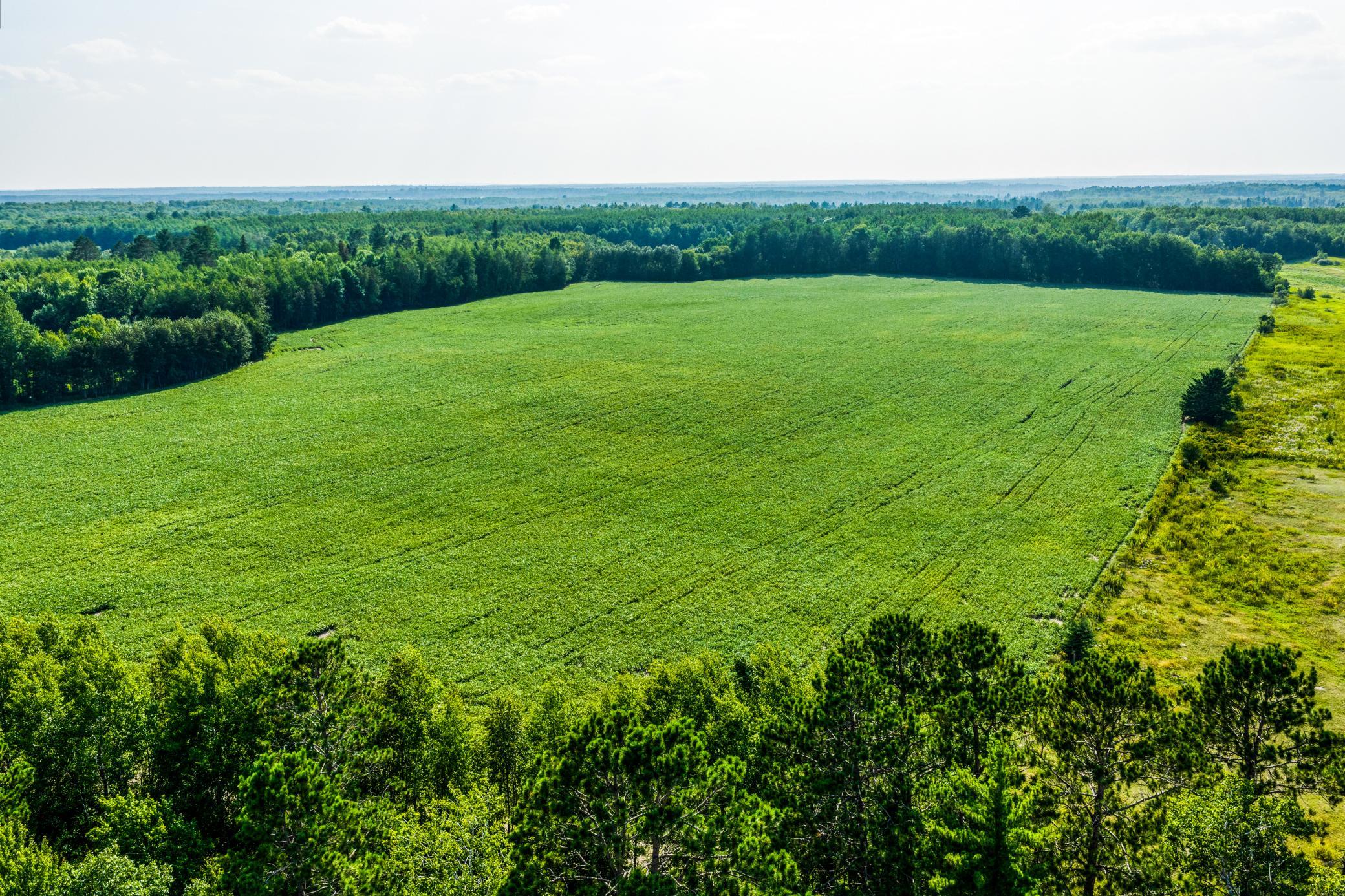 1st image of Tbd Buzzle Rd Nw, Shevlin, MN 56676 | MLS# 7125524