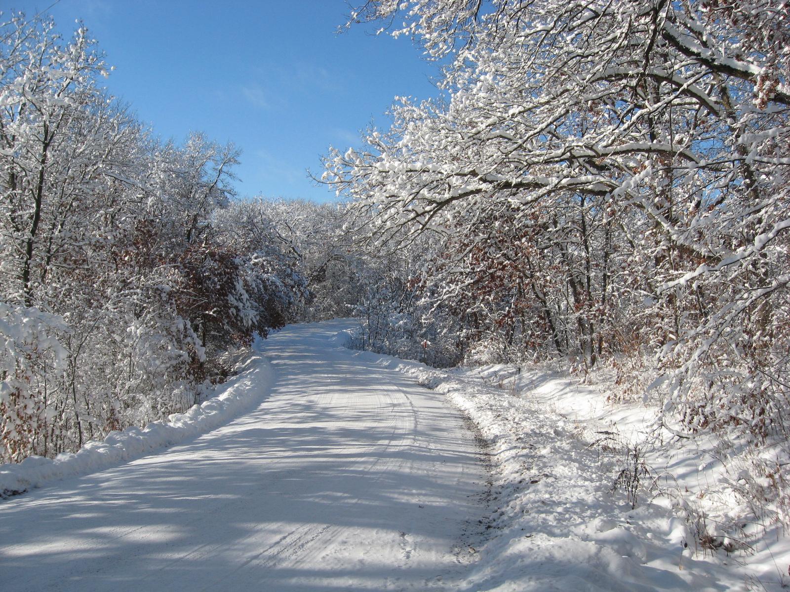 13th image of 15xxx Pilar Rd, Scandia, MN 55073 | MLS# 7125674