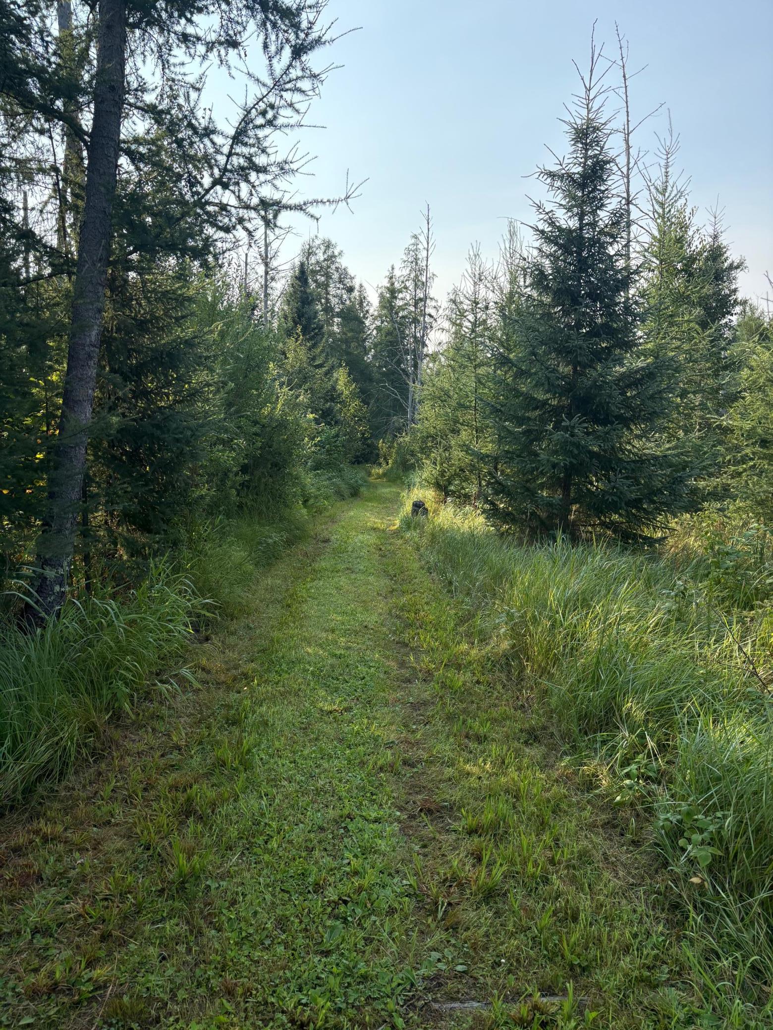 4th image of 40243 650Th St, Swatara, MN 55785 | MLS# 7126133