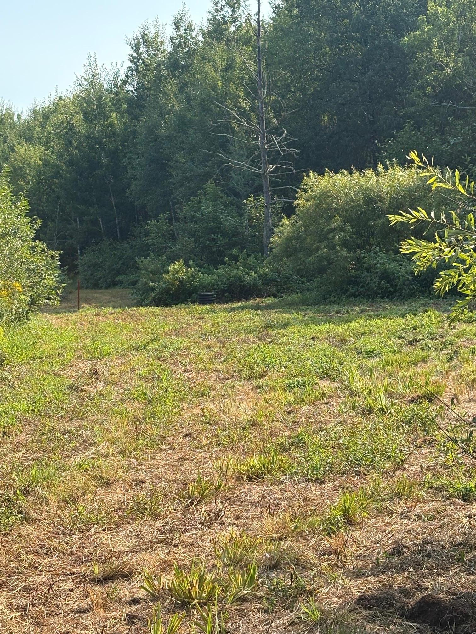 3rd image of 40243 650Th St, Swatara, MN 55785 | MLS# 7126133