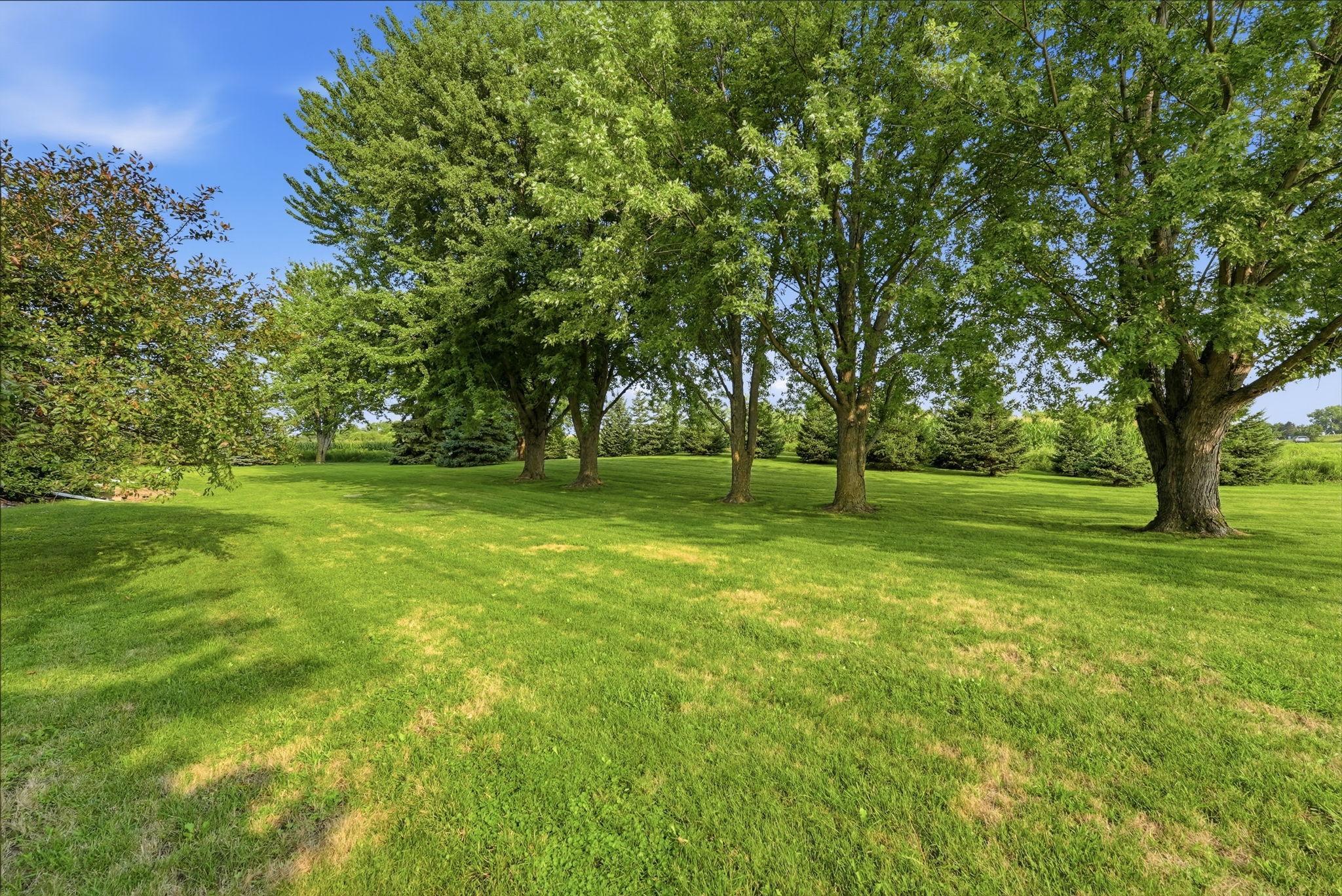 5th image of 7520 County Road 9 Ne, Willmar, MN 56201 | MLS# 7126516